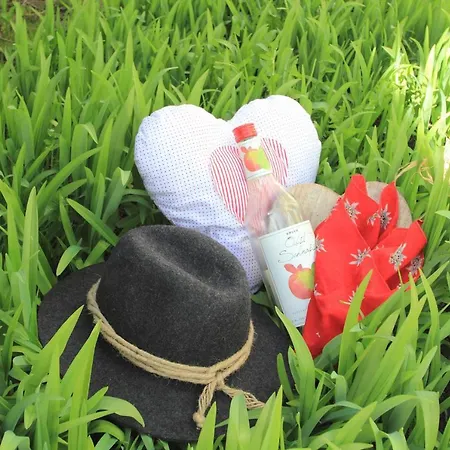 Sonnenplatzl-adults Only Fulpmes