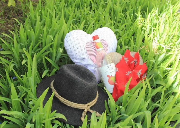 Sonnenplatzl-adults Only Фульпмес