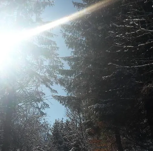 Sonnenplatzl-adults Only Фульпмес