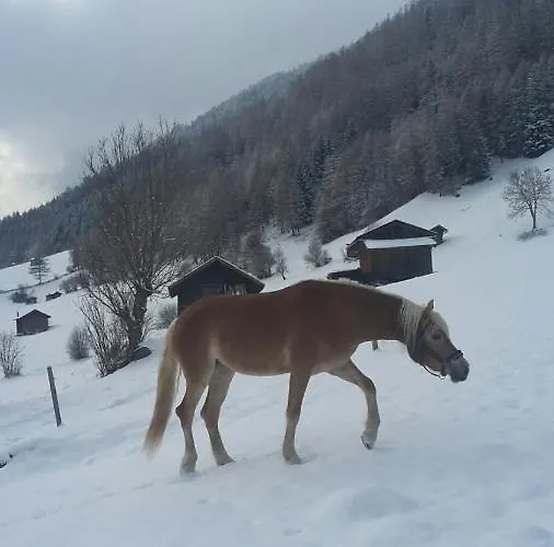 Sonnenplatzl-adults Only * Фульпмес